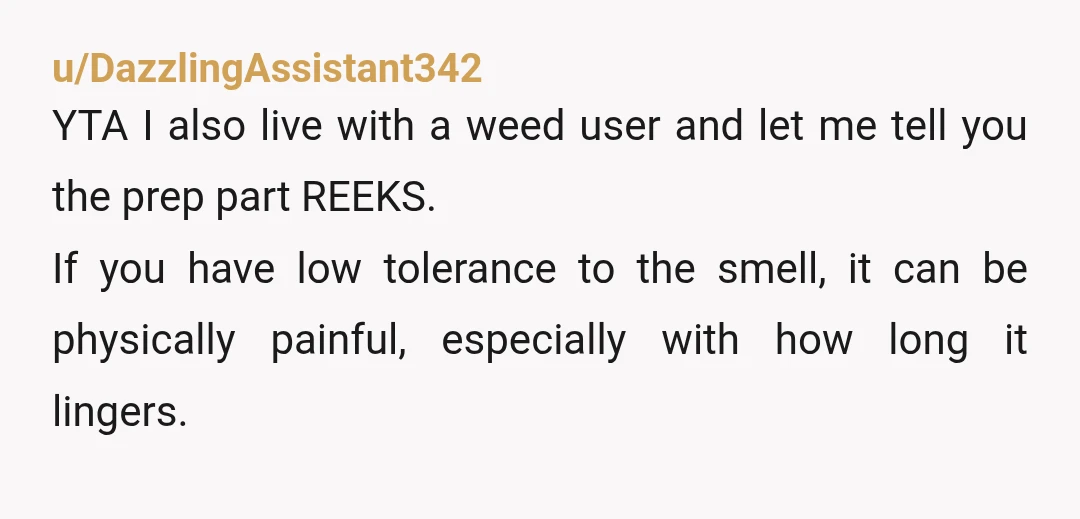 u/DazzlingAssistant342 YTA I also live with a weed user and let me tell you the prep part REEKS. If you have low tolerance to the smell, it can be physically...