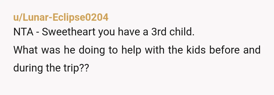 u/Lunar-Eclipse0204
NTA - Sweetheart you have a 3rd child.
What was he doing to help with the kids before and during the trip??