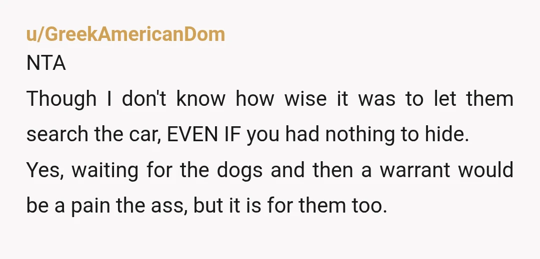 u/GreekAmericanDom NTA Though I don't know how wise it was to let them search the car, EVEN IF you had nothing to hide. Yes, waiting for the dogs and then...