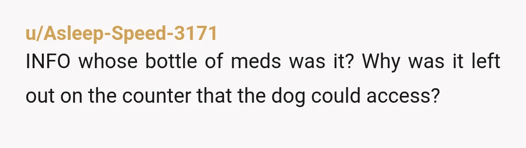 u/Asleep-Speed-3171
INFO whose bottle of meds was it? Why was it left out on the counter that the dog could access?