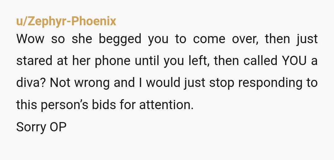 u/Zephyr-Phoenix Wow so she begged you to come over, then just stared at her phone until you left, then called YOU a diva? Not wrong and I would just stop...