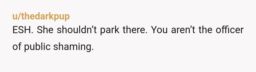 u/thedarkpup
ESH. She shouldn’t park there. You aren’t the officer of public shaming.