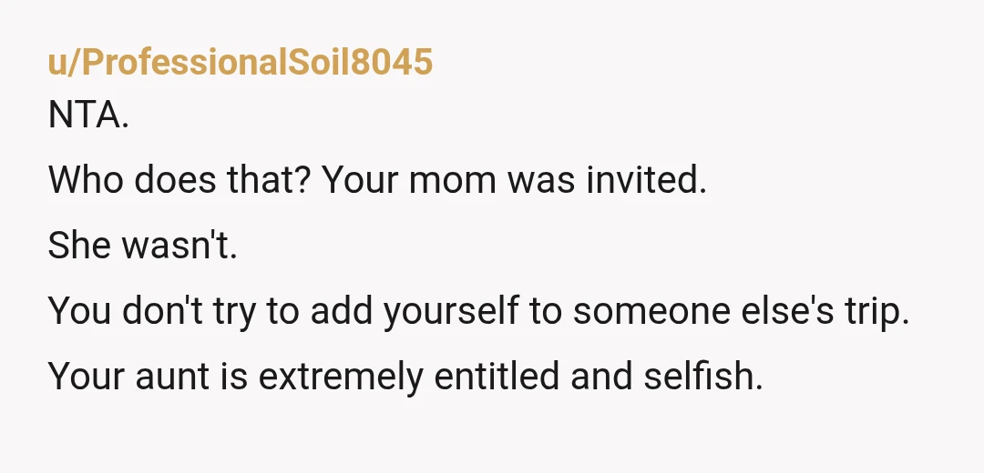 u/ProfessionalSoil8045
NTA.
Who does that? Your mom was invited.
She wasn't.
You don't try to add yourself to someone else's trip.
Your aunt is extremely entitled and selfish.