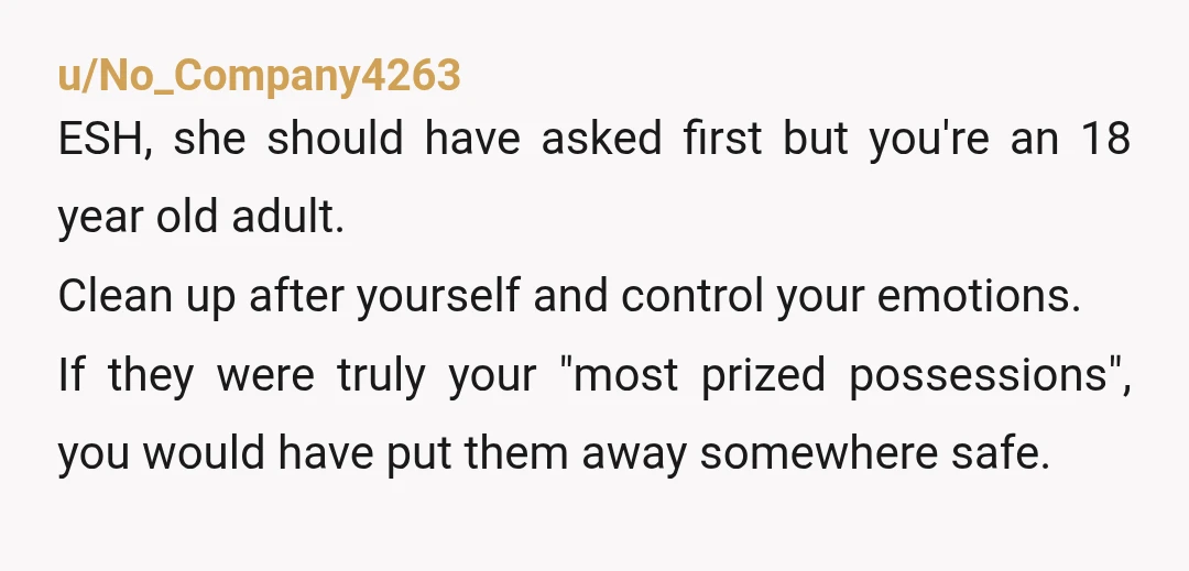 u/No_Company4263 ESH, she should have asked first but you're an 18 year old adult. Clean up after yourself and control your emotions. If they were truly your "most prized possessions",...
