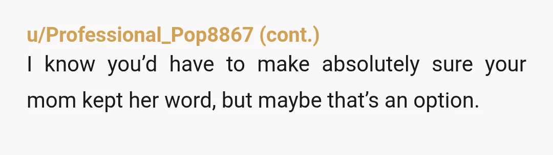 u/veryjudgely No. Your mother is naive to the living situation of her new boyfriend and his roommates. The possibility of what may go wrong on an overnight with your mom...