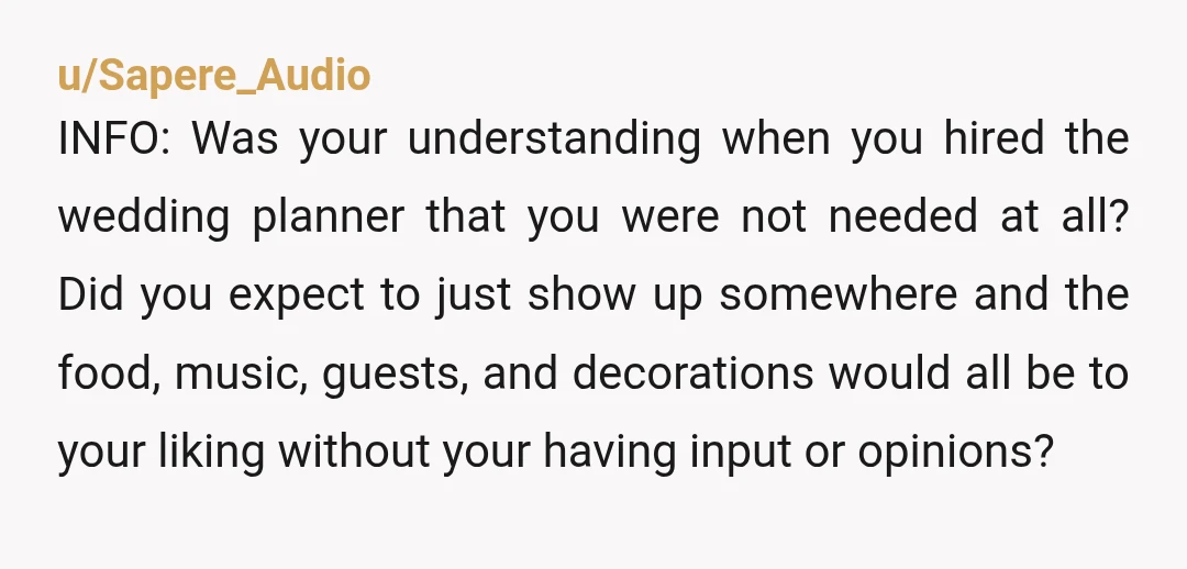 u/Sapere_Audio INFO: Was your understanding when you hired the wedding planner that you were not needed at all? Did you expect to just show up somewhere and the food, music,...
