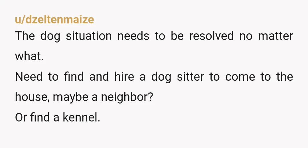 u/dzeltenmaize The dog situation needs to be resolved no matter what. Need to find and hire a dog sitter to come to the house, maybe a neighbor? Or find a...