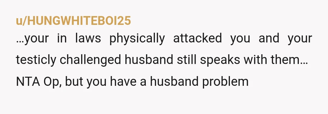 u/HUNGWHITEBOI25
…your in laws physically attacked you and your testicly challenged husband still speaks with them…
NTA Op, but you have a husband problem