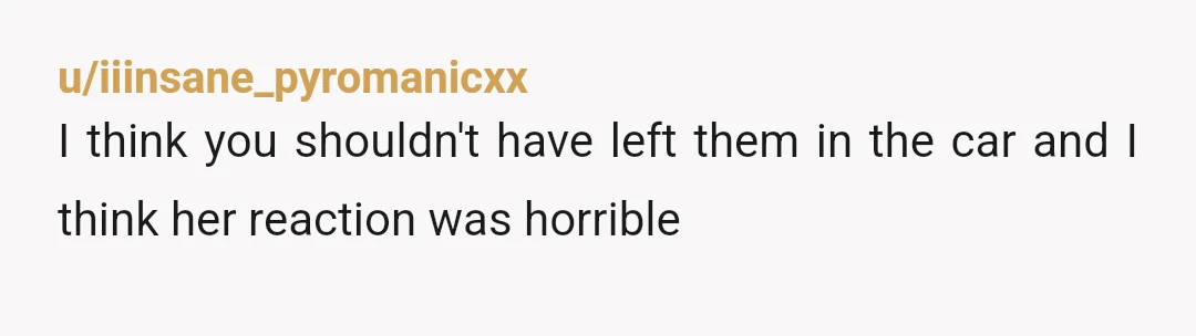 u/iiinsane_pyromanicxx
I think you shouldn't have left them in the car and I think her reaction was horrible