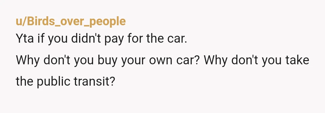 u/Birds_over_people
Yta if you didn't pay for the car.
Why don't you buy your own car? Why don't you take the public transit?