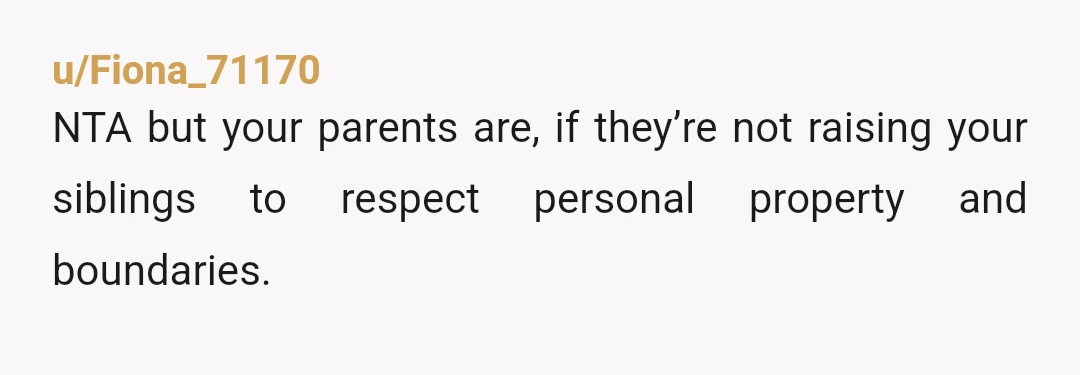 u/Fiona_71170
NTA but your parents are, if they’re not raising your siblings to respect personal property and boundaries.