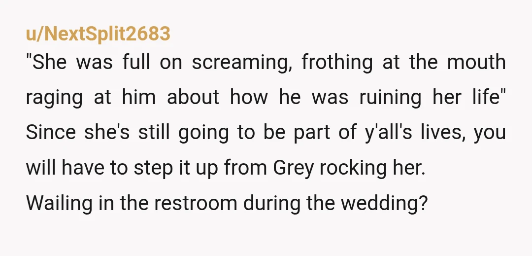 u/NextSplit2683 "She was full on screaming, frothing at the mouth raging at him about how he was ruining her life" Since she's still going to be part of y'all's lives,...