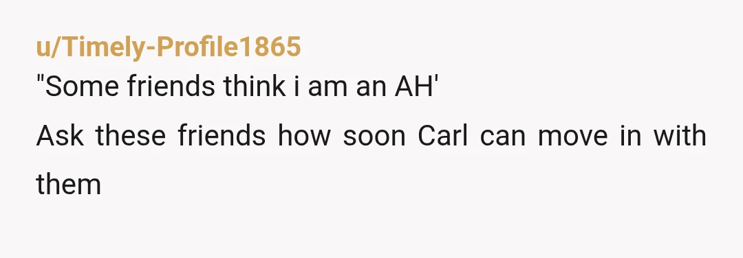 u/Timely-Profile1865
"Some friends think i am an AH'
Ask these friends how soon Carl can move in with them