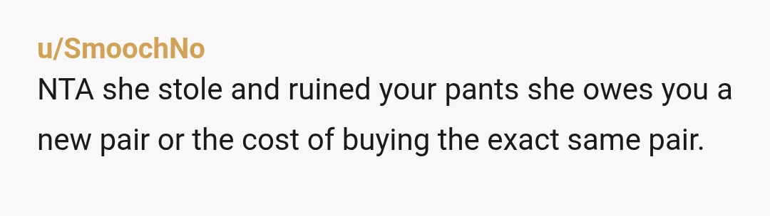 u/SmoochNo
NTA she stole and ruined your pants she owes you a new pair or the cost of buying the exact same pair. 