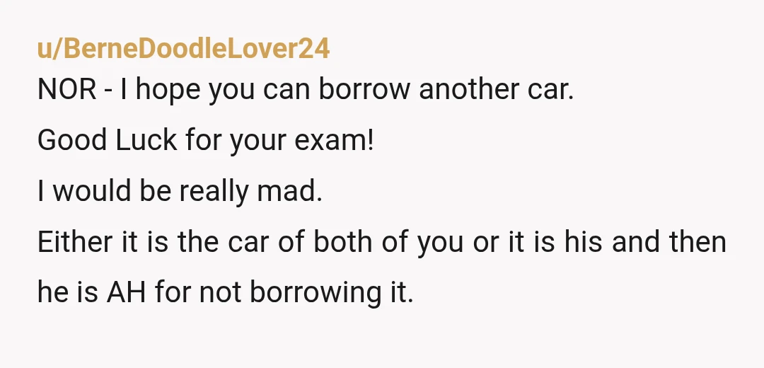 u/BerneDoodleLover24 NOR - I hope you can borrow another car. Good Luck for your exam! I would be really mad. Either it is the car of both of you or...