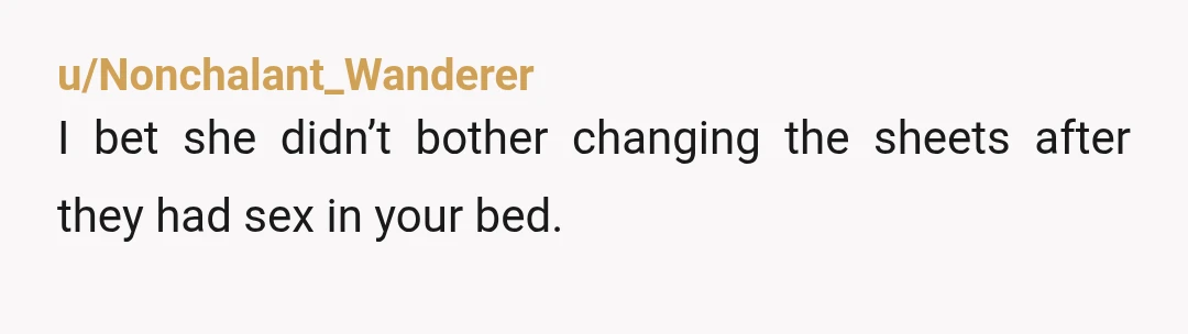 u/Nonchalant_Wanderer
I bet she didn’t bother changing the sheets after they had sex in your bed.
