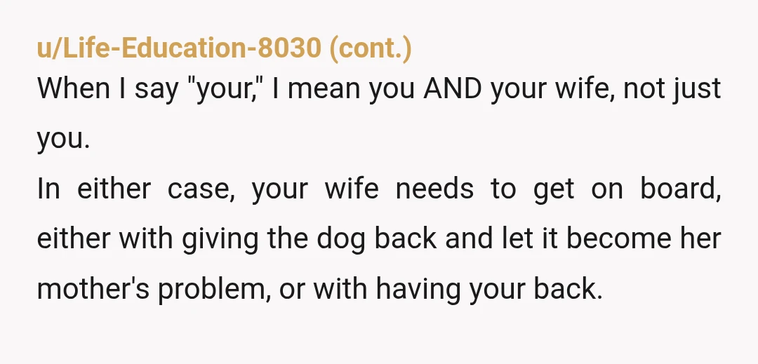 u/soilsiren
Next time try spraying her in the face with a water bottle while saying NO! Instead of yelling.
