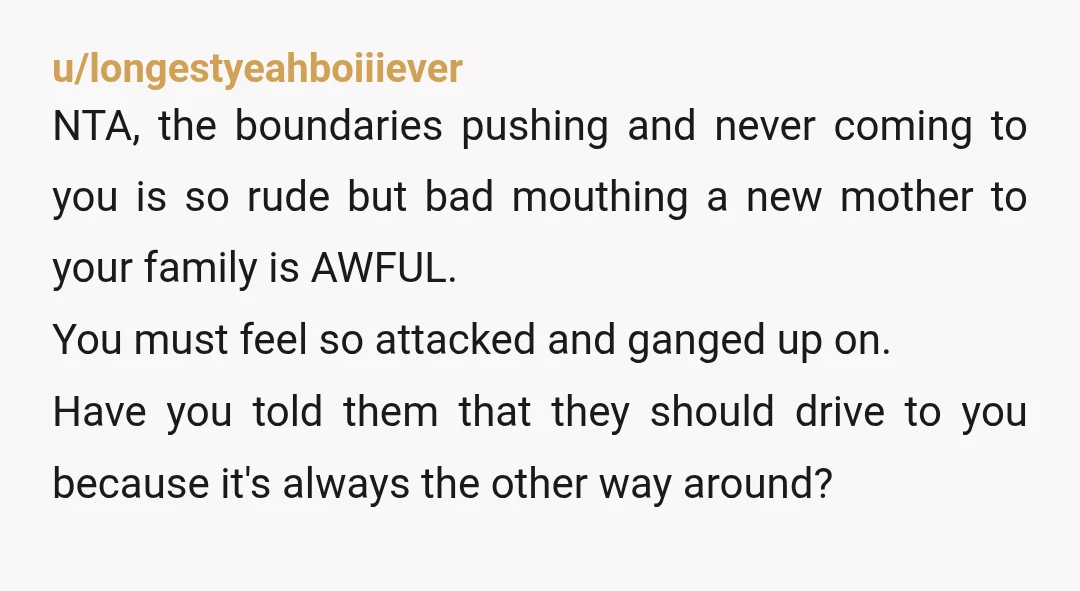 u/longestyeahboiiiever NTA, the boundaries pushing and never coming to you is so rude but bad mouthing a new mother to your family is AWFUL. You must feel so attacked and...