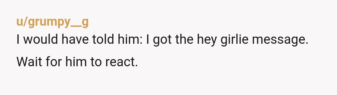 u/grumpy__g
I would have told him: I got the hey girlie message.
Wait for him to react.