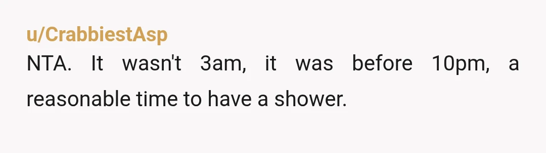 u/CrabbiestAsp
NTA. It wasn't 3am, it was before 10pm, a reasonable time to have a shower.