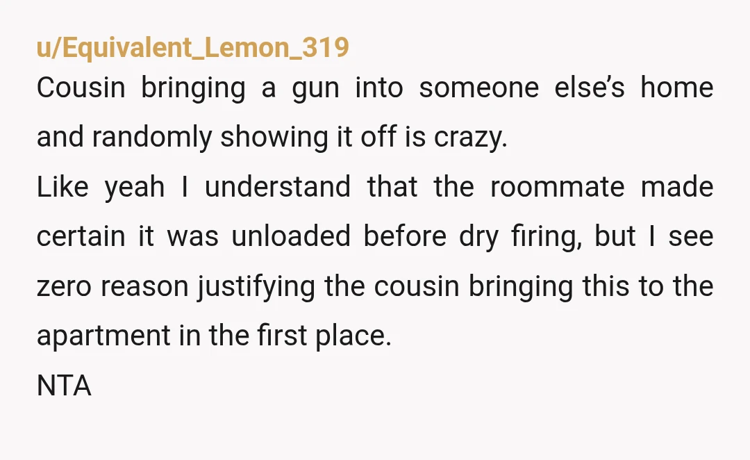 u/Equivalent_Lemon_319 Cousin bringing a gun into someone else’s home and randomly showing it off is crazy. Like yeah I understand that the roommate made certain it was unloaded before dry...