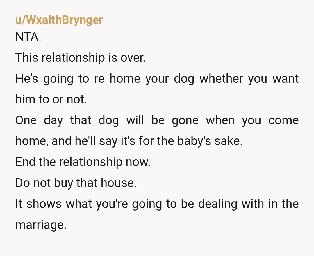u/WxaithBrynger NTA. This relationship is over. He's going to re home your dog whether you want him to or not. One day that dog will be gone when you come...