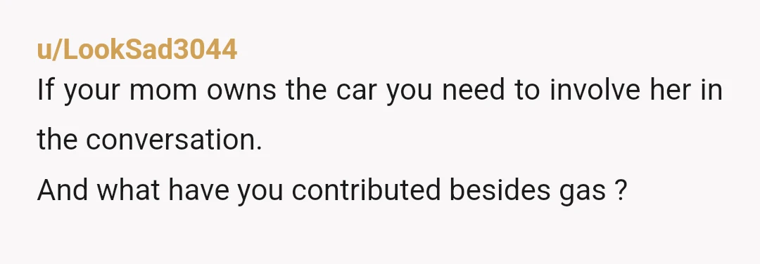 u/LookSad3044
If your mom owns the car you need to involve her in the conversation.
And what have you contributed besides gas ?