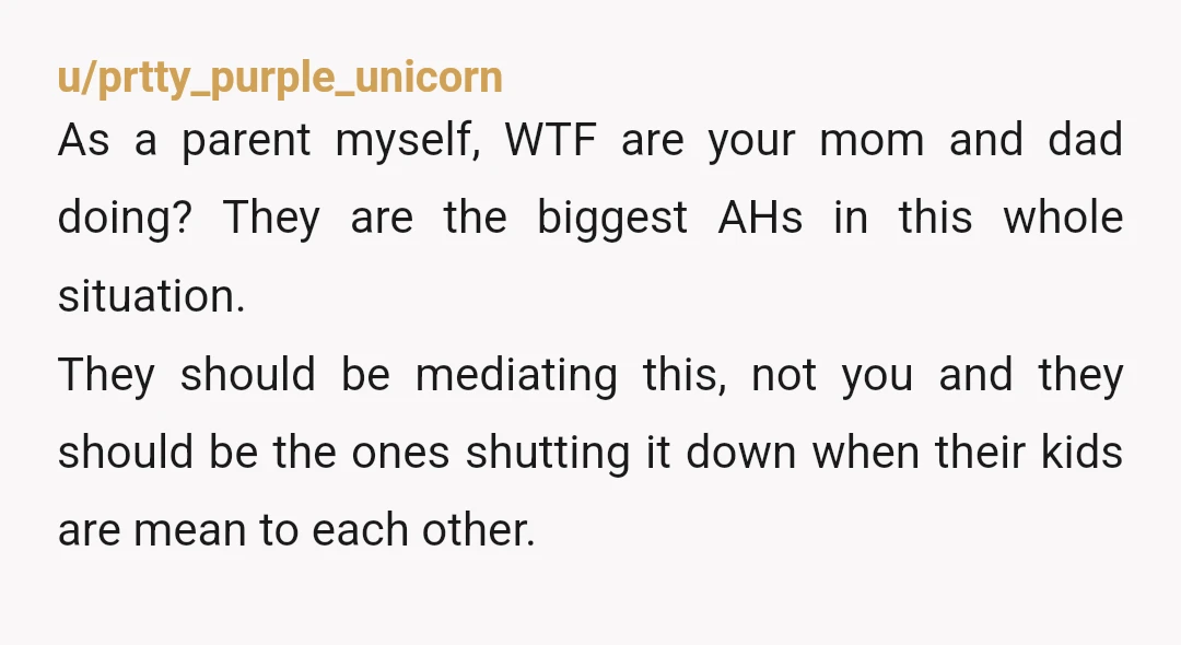 u/prtty_purple_unicorn As a parent myself, WTF are your mom and dad doing? They are the biggest AHs in this whole situation. They should be mediating this, not you and they...