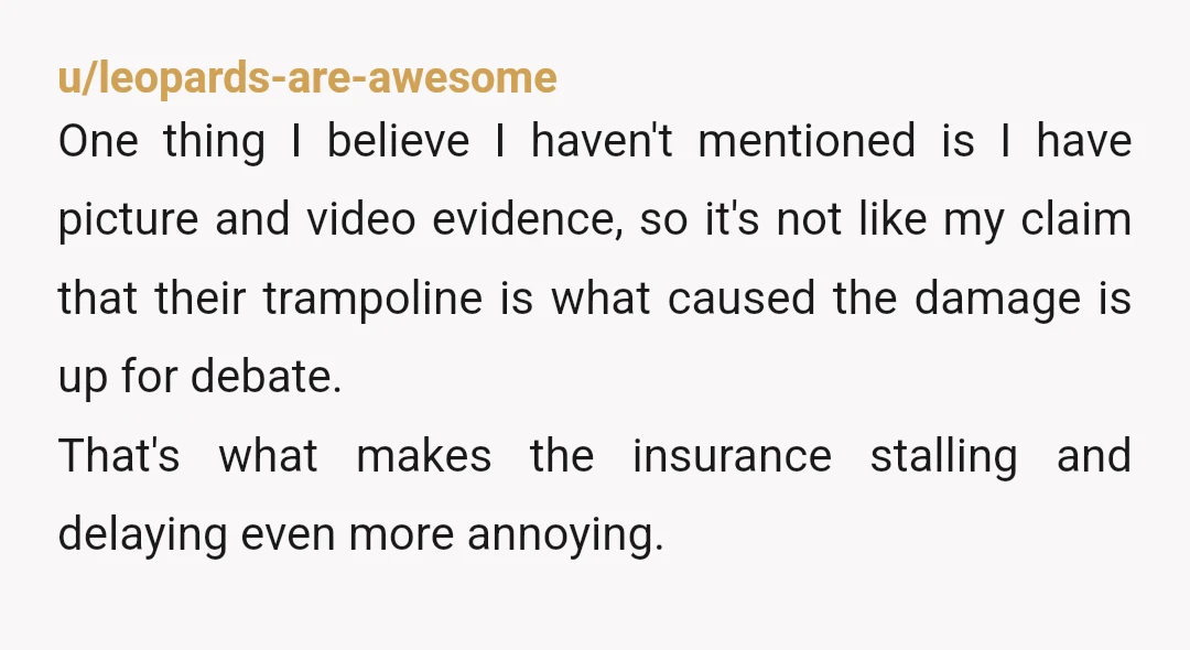 u/leopards-are-awesome One thing I believe I haven't mentioned is I have picture and video evidence, so it's not like my claim that their trampoline is what caused the damage is...