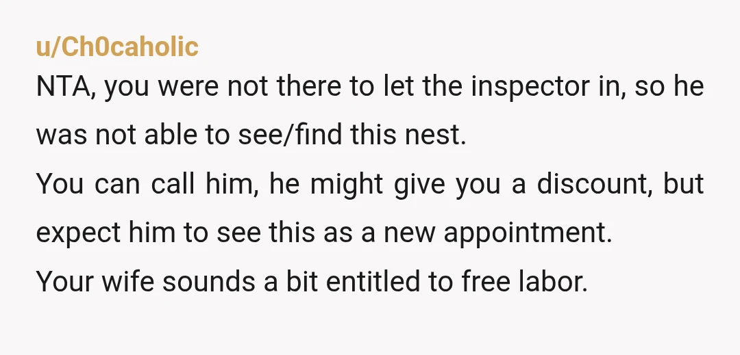 u/Ch0caholic NTA, you were not there to let the inspector in, so he was not able to see/find this nest. You can call him, he might give you a discount,...