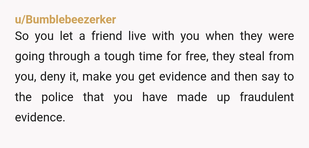 u/Bumblebeezerker So you let a friend live with you when they were going through a tough time for free, they steal from you, deny it, make you get evidence and...