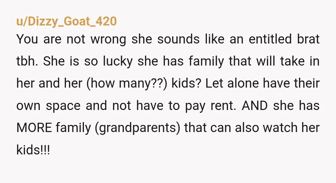 u/Dizzy_Goat_420 You are not wrong she sounds like an entitled brat tbh. She is so lucky she has family that will take in her and her (how many??) kids? Let...