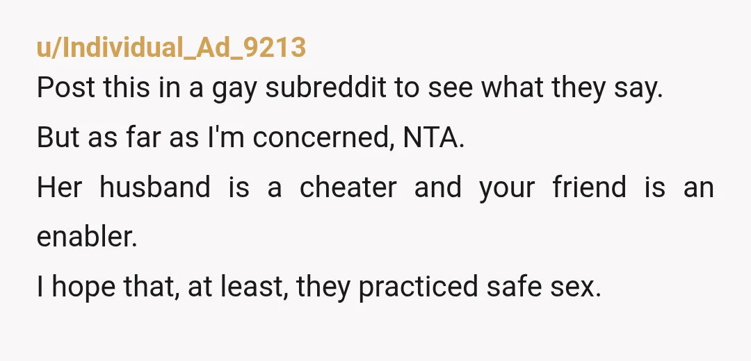 u/Individual_Ad_9213 Post this in a gay subreddit to see what they say. But as far as I'm concerned, NTA. Her husband is a cheater and your friend is an enabler....