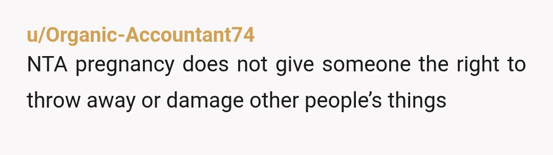 u/Organic-Accountant74
NTA pregnancy does not give someone the right to throw away or damage other people’s things