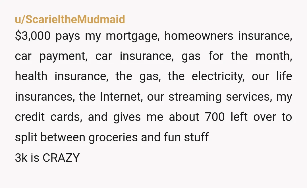 u/ScarieltheMudmaid $3,000 pays my mortgage, homeowners insurance, car payment, car insurance, gas for the month, health insurance, the gas, the electricity, our life insurances, the Internet, our streaming services, my...