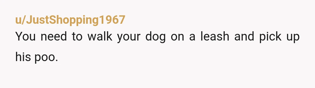 u/JustShopping1967
You need to walk your dog on a leash and pick up his poo.