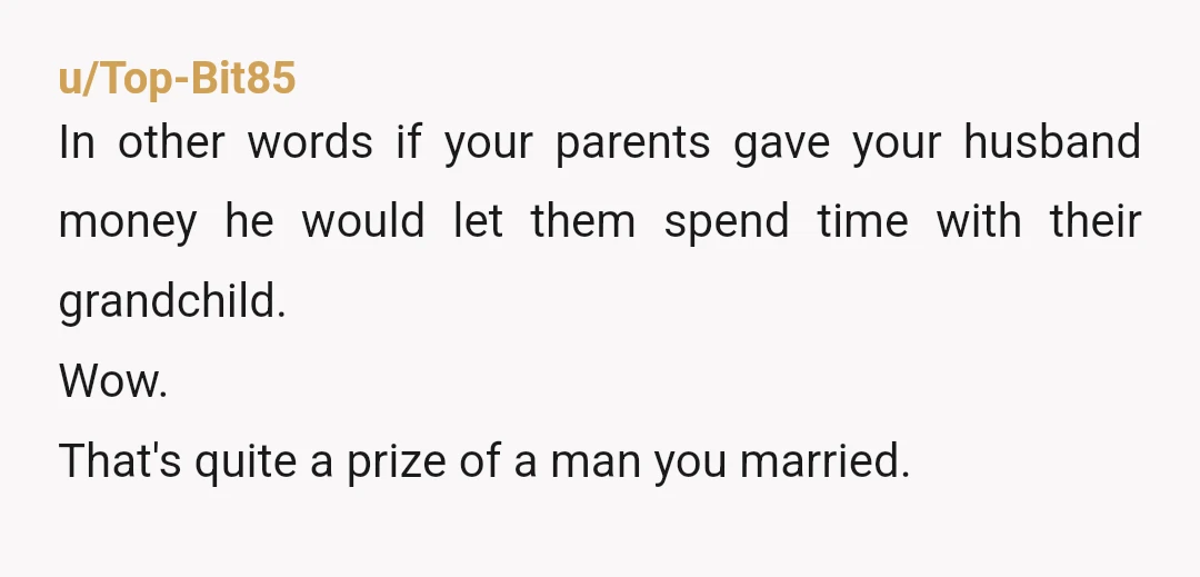 u/Similar_Corner8081
NOR He wants your parents to pay to spend time with their grandchild. Ew