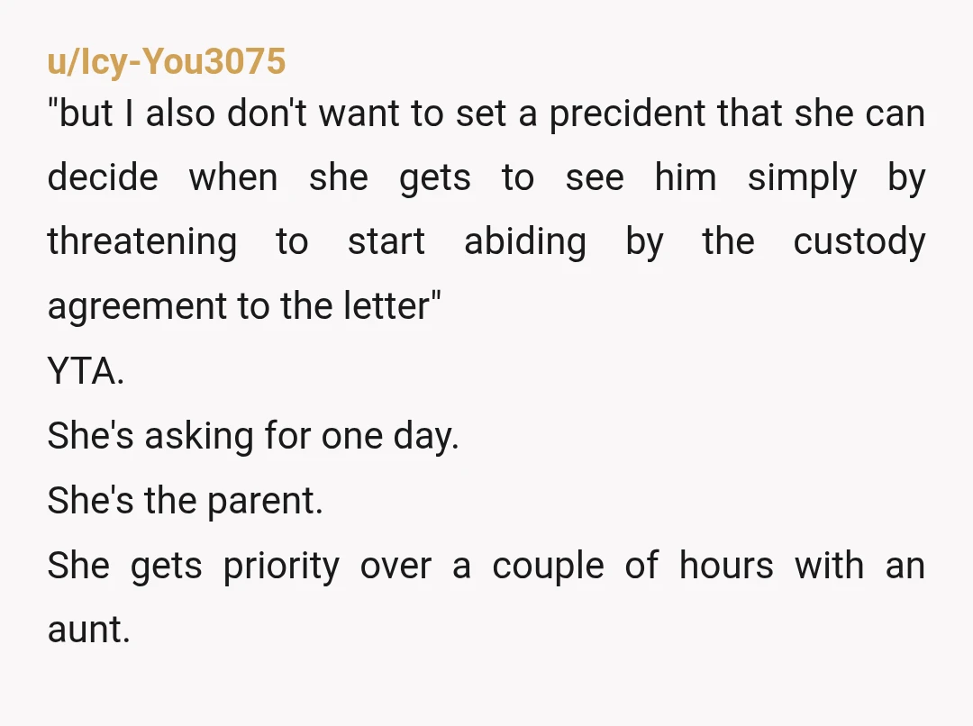 u/Icy-You3075 "but I also don't want to set a precident that she can decide when she gets to see him simply by threatening to start abiding by the custody agreement...