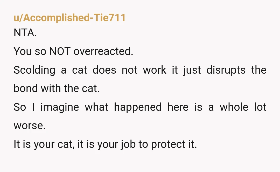 u/Accomplished-Tie711 NTA. You so NOT overreacted. Scolding a cat does not work it just disrupts the bond with the cat. So I imagine what happened here is a whole lot...