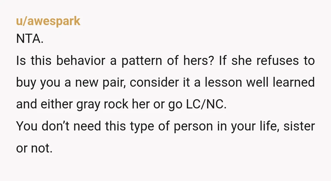 u/awespark NTA. Is this behavior a pattern of hers? If she refuses to buy you a new pair, consider it a lesson well learned and either gray rock her or...