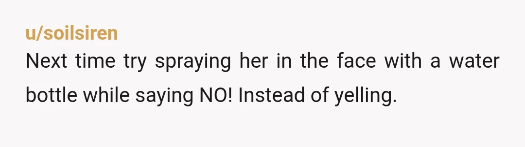 u/greendit69 NTA. MIL isn't allowed to come to your house anymore. If wife has a problem with you not wanting someone like that in your house, wife can stop coming...
