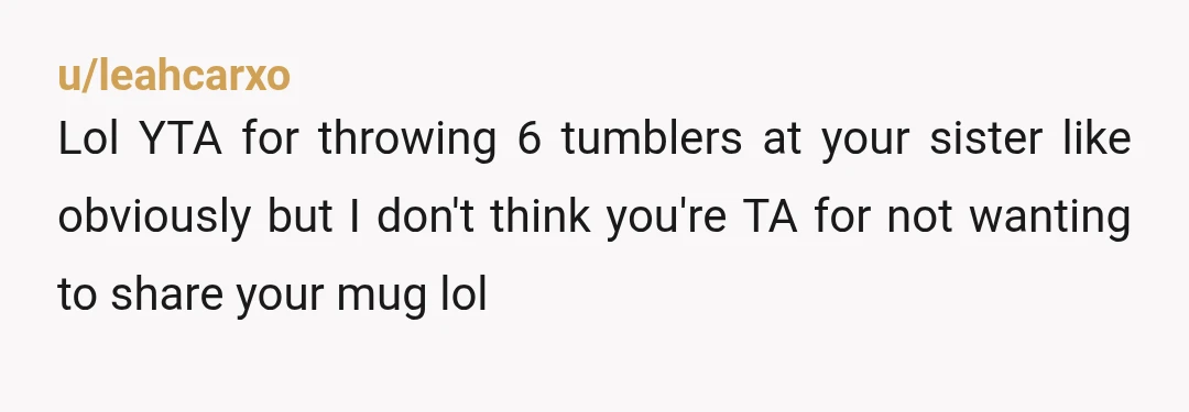 u/leahcarxo
Lol YTA for throwing 6 tumblers at your sister like obviously but I don't think you're TA for not wanting to share your mug lol