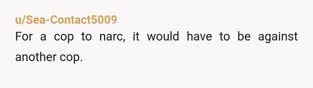 u/Sea-Contact5009
For a cop to narc, it would have to be against another cop.