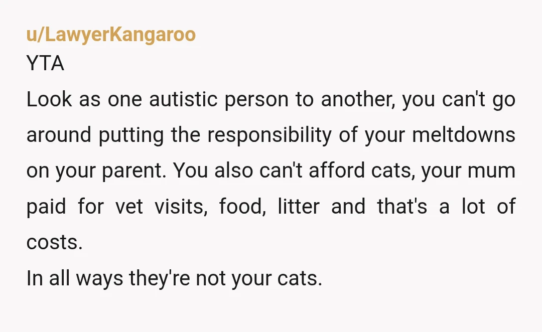 u/maestrodamuz YTA You’re living off your mum. You’re not contributing much financially. You brought in a friend. You have multiple pets in the house that run up the bill. And...
