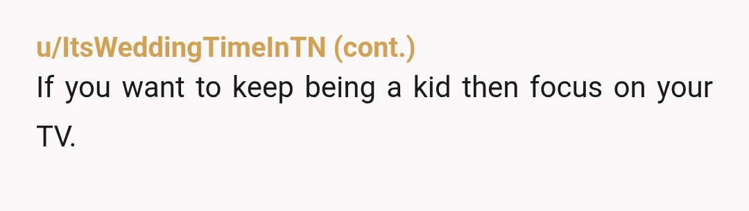 u/Practical_Sky7954 NTA. The irony is that you hired a wedding planner so your lives wouldn't revolve around planning the wedding... and now your lives revolve around planning the wedding even...
