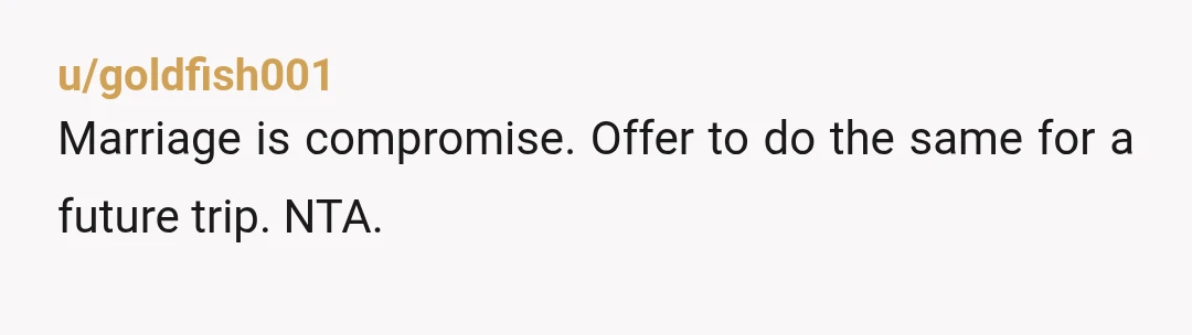 u/No_Acanthaceae3518 NTA I think this is a great idea! Maybe I’ll feel differently when my kids are school aged, but as a toddler mom I’d be THRILLED if my husband...