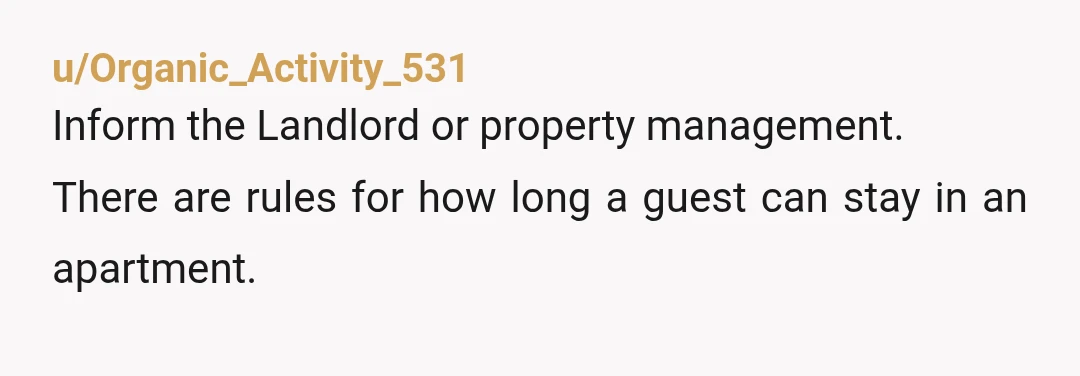 u/freedom31mm
Tell her he can’t stay when she isn’t home. Check your lease. NTA