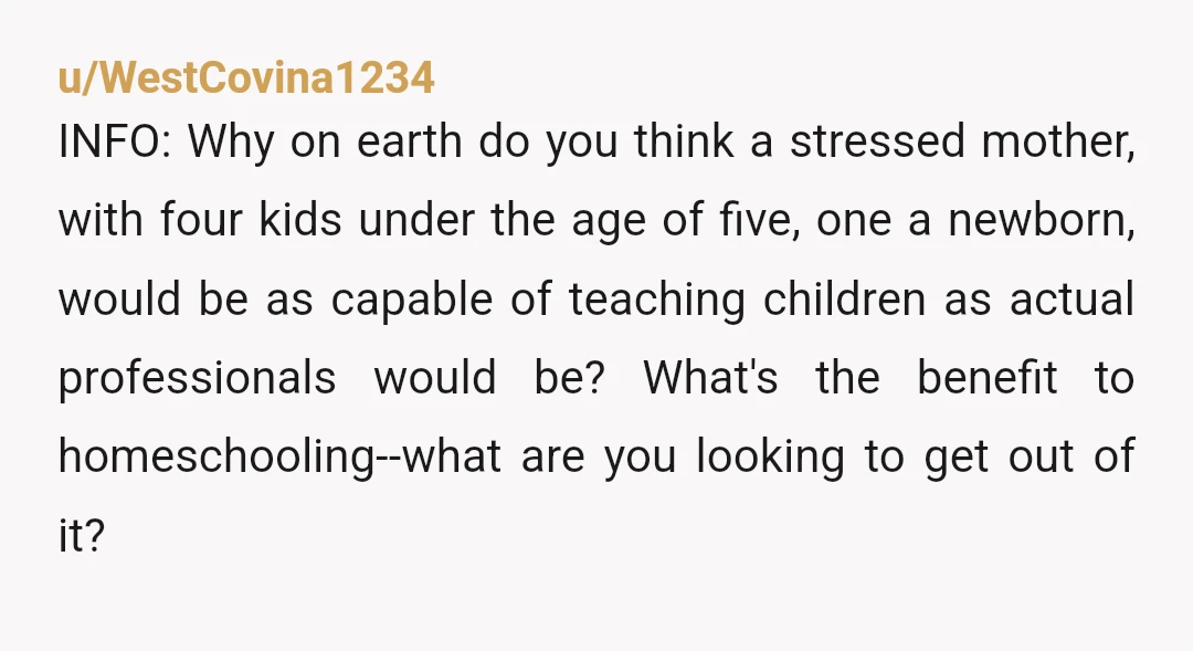 u/WestCovina1234 INFO: Why on earth do you think a stressed mother, with four kids under the age of five, one a newborn, would be as capable of teaching children as...