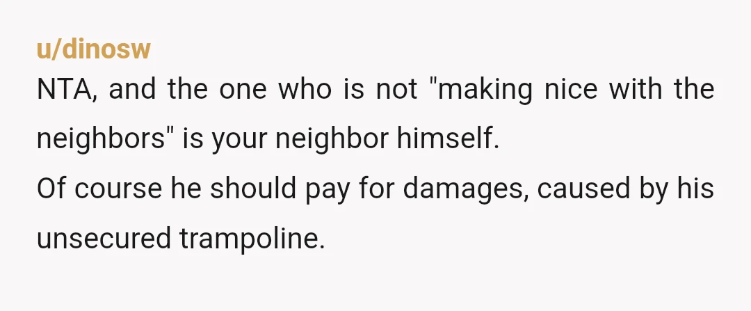 u/dinosw
NTA, and the one who is not "making nice with the neighbors" is your neighbor himself.
Of course he should pay for damages, caused by his unsecured trampoline.