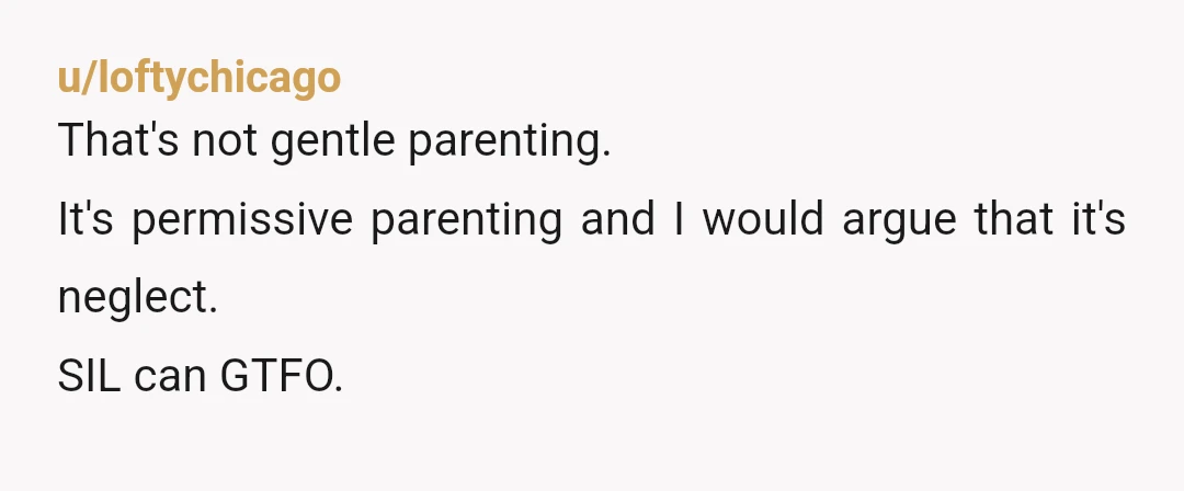 u/loftychicago
That's not gentle parenting.
It's permissive parenting and I would argue that it's neglect.
SIL can GTFO.